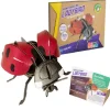 New Ladybird Model Animals|Creative Activities