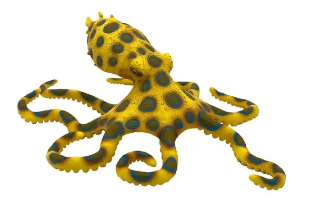 Online Blueringed Octopus Role Play|Model Animals