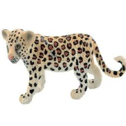 Hot Leopard Cub Model Animals