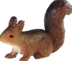 New Red Squirrel Role Play|Pre School