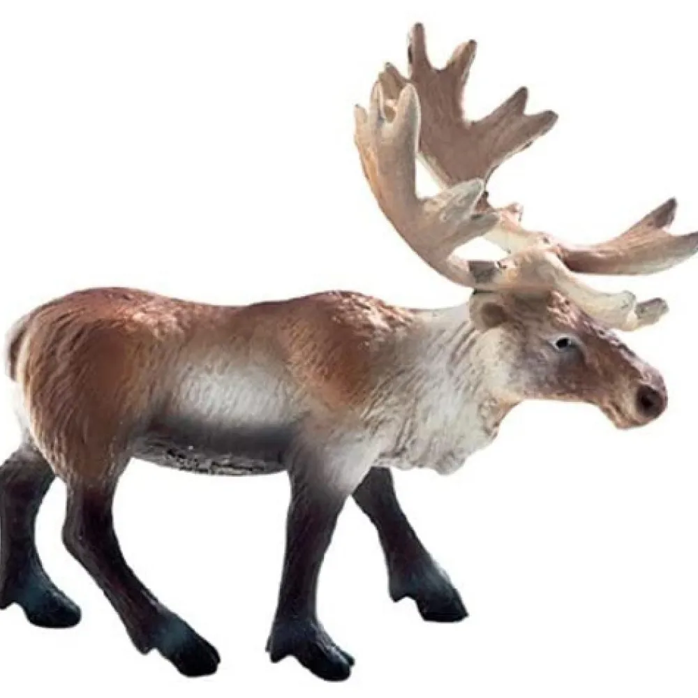 Outlet Reindeer Pre School|Model Animals