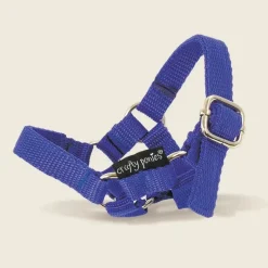 Best Crafty Ponies Head Collar Role Play|Model Animals