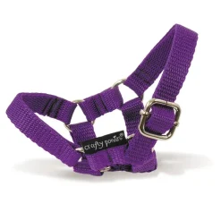 Best Crafty Ponies Head Collar Role Play|Model Animals