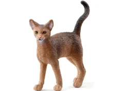 Best Abyssinian Cat 13964 Role Play|Pre School
