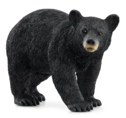 American Black Bear 14869 Role Play|Pre School