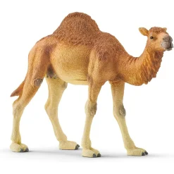 Dromedary / One Hump Camel Model Animals