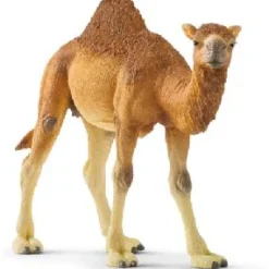 Dromedary / One Hump Camel Model Animals