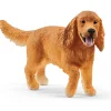Best English Cocker Spaniel Model Animals