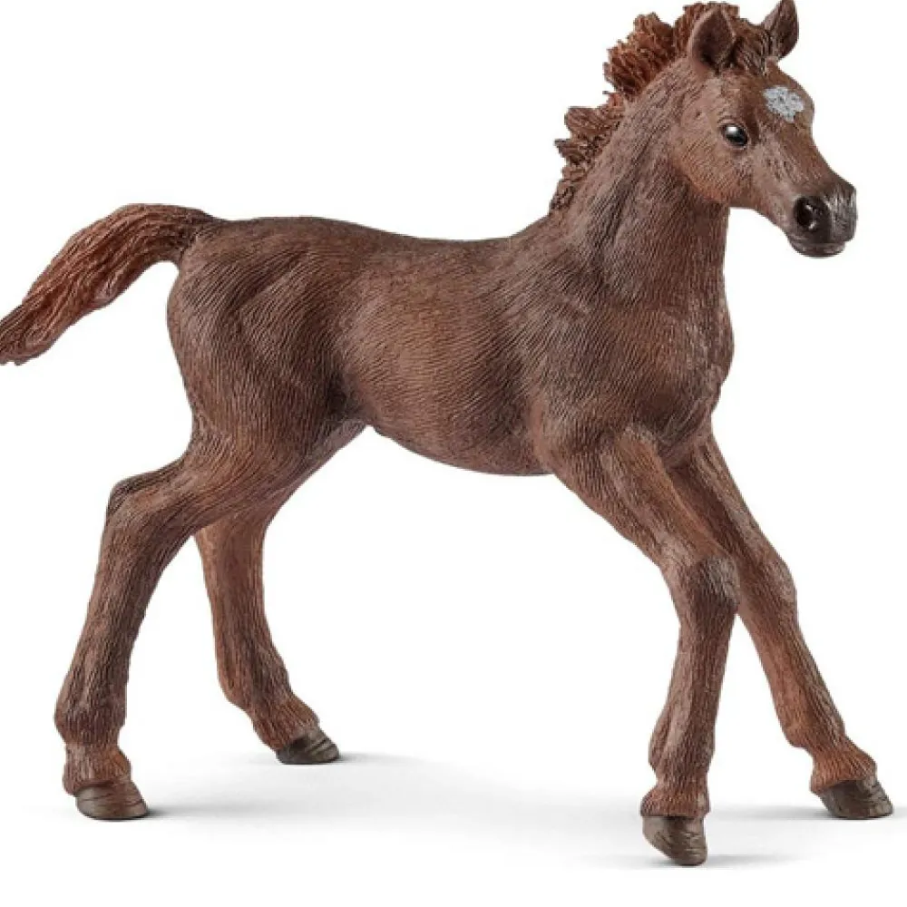 New English Thoroughbred Foal Model Animals