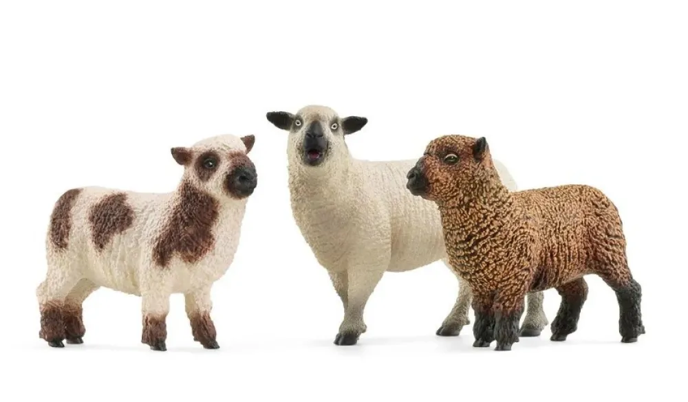 Online Farm World Box of Sheep 42660 Pre School|Role Play