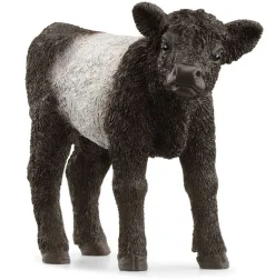 Hot Galloway Calf 13969 Role Play|Model Animals