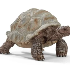Clearance Giant Tortoise Model Animals