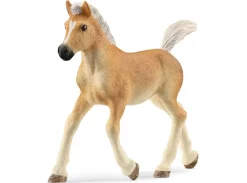 New Haflinger Foal Horse Pre School|Role Play