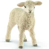 New Lamb New Model Animals