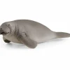 Best Manatee Model Animals
