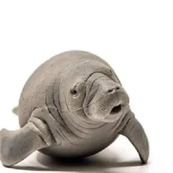 Best Manatee Model Animals