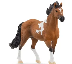 Outlet Mangalarga Marchador Stallion 13978 Role Play|Model Animals