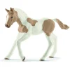 Online Paint Horse Foal Model Animals