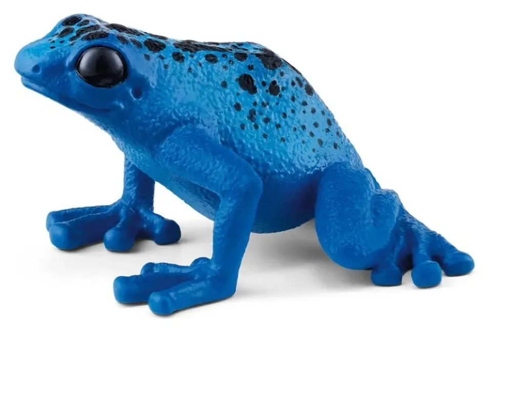 Hot Poison Dart Frog Role Play|Model Animals