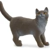 New Shorthair Cat Pre School|Role Play