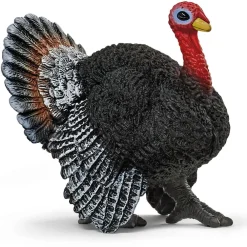 New Turkey Model Animals