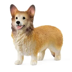 Welsh Corgi Dog Pre School|Role Play