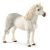 Sale Welsh Pony Stallion Pre School|Role Play