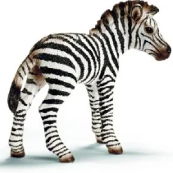 Hot Zebra Foal Model Animals