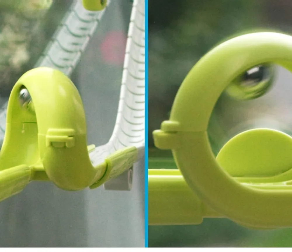 Gecko Run Expansion Loop Creative Activities|Games