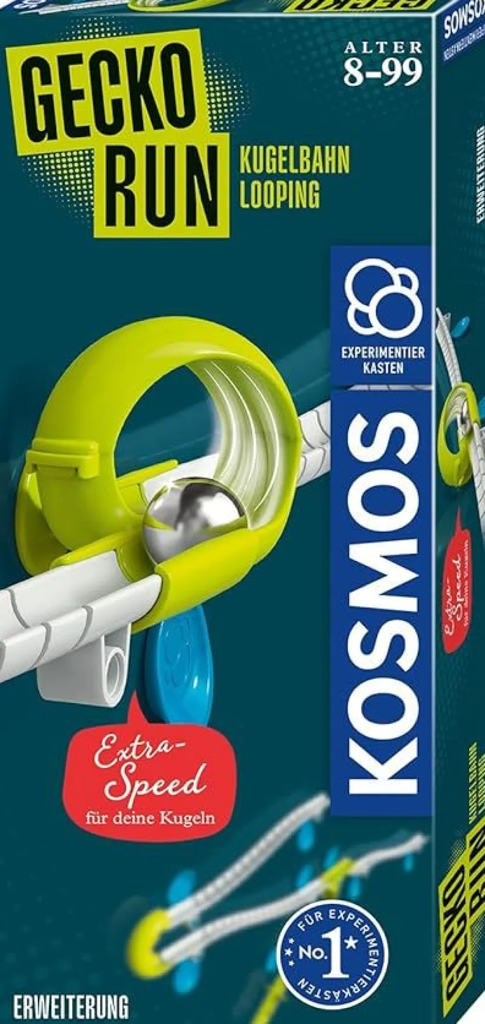 Gecko Run Expansion Loop Creative Activities|Games