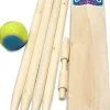 Online Cricket Set in a Bag Sports|Games